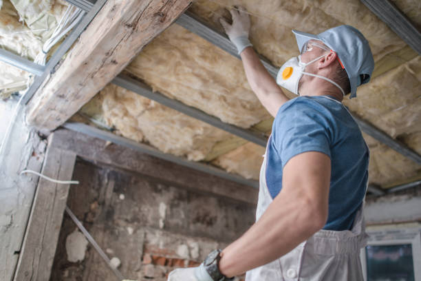 Best Insulation Replacement Services  in Lansdowne, VA