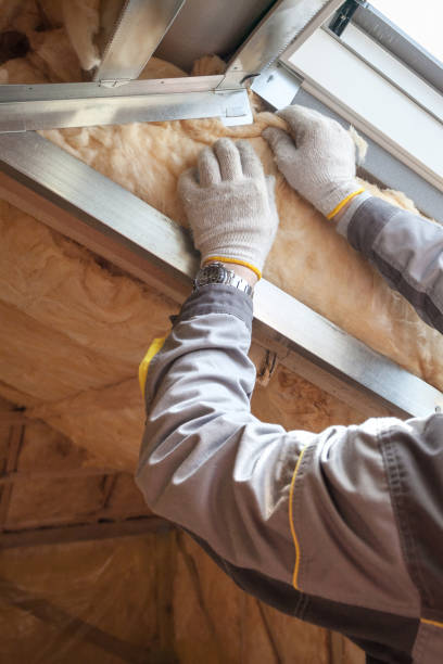 Insulation Inspection Services in Lansdowne, VA