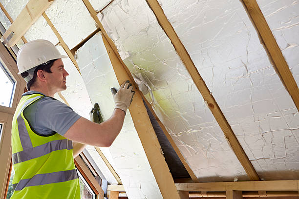 Best Insulation Inspection Services  in Lansdowne, VA